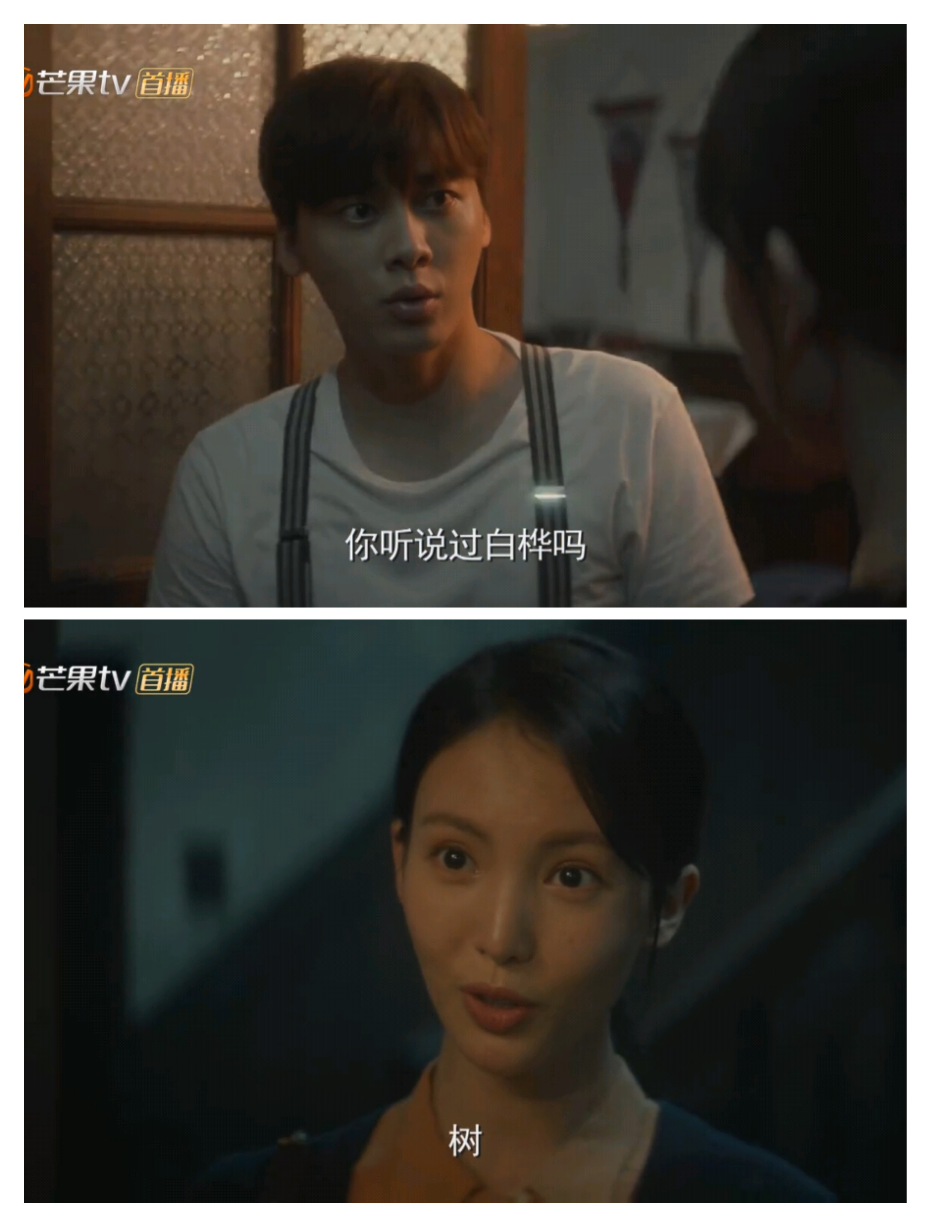 金晨为什么要叫沈青禾和沈思怡,金晨饰演的谍战剧