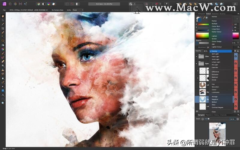 mac图片文字编辑软件,mac图像编辑软件app