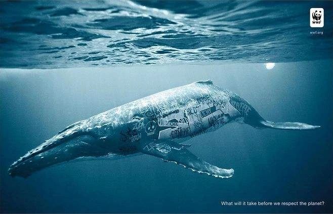 全球可持续发展报告发布,2023年全球可持续发展报告