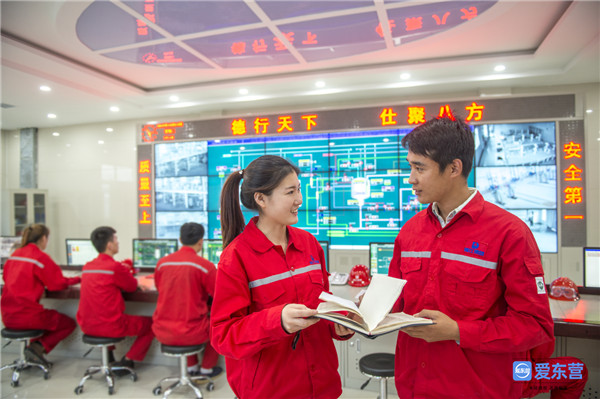 东营德仕能源简介,东营德仕公司