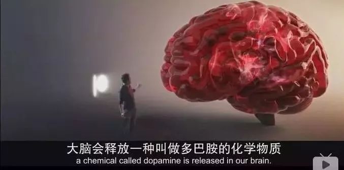 澳洲超市这些热销食品，吃多容易上瘾，喂养癌细胞。增加早逝风险