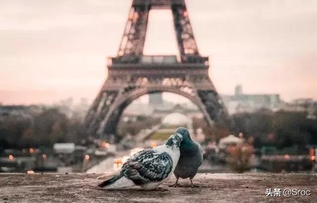 八个自律的好习惯让你受益一辈子,培养孩子自律好习惯的方法和技巧