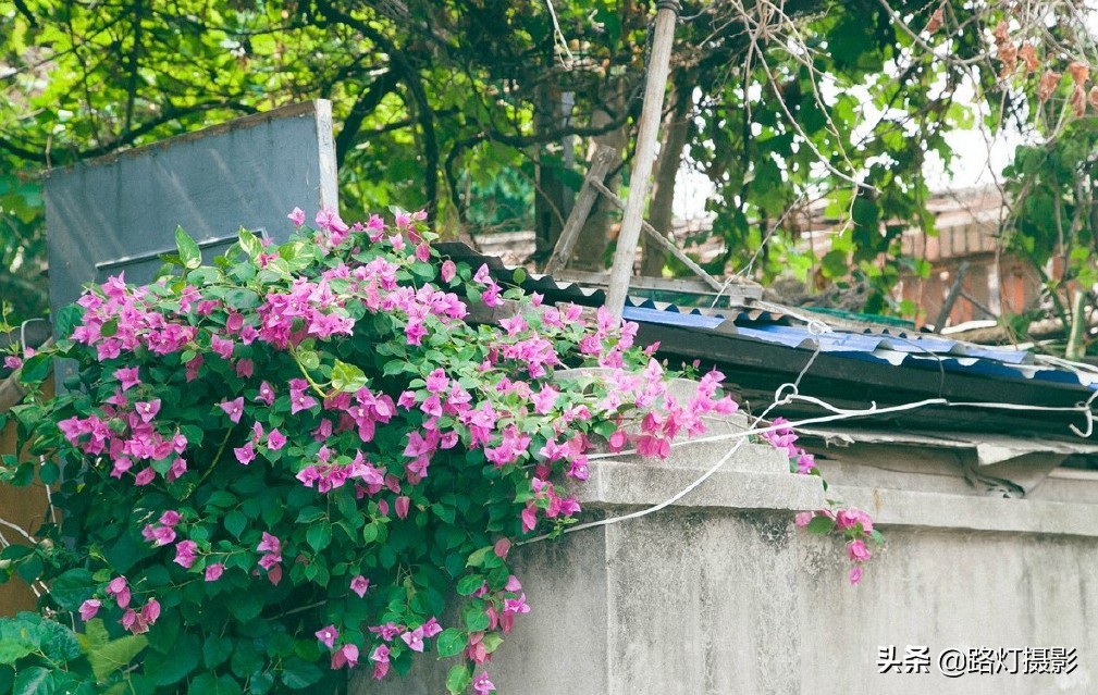 厦门适合养老吗,厦门生存压力大不大