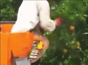 德国的认真和严谨,德国人的严谨和认真有多可怕