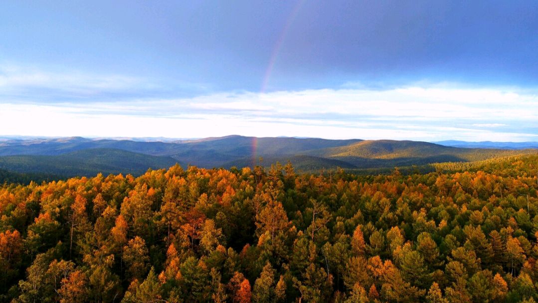 杨万里两首蕴含人生哲理的小诗，清新自然，极富趣味，值得一读