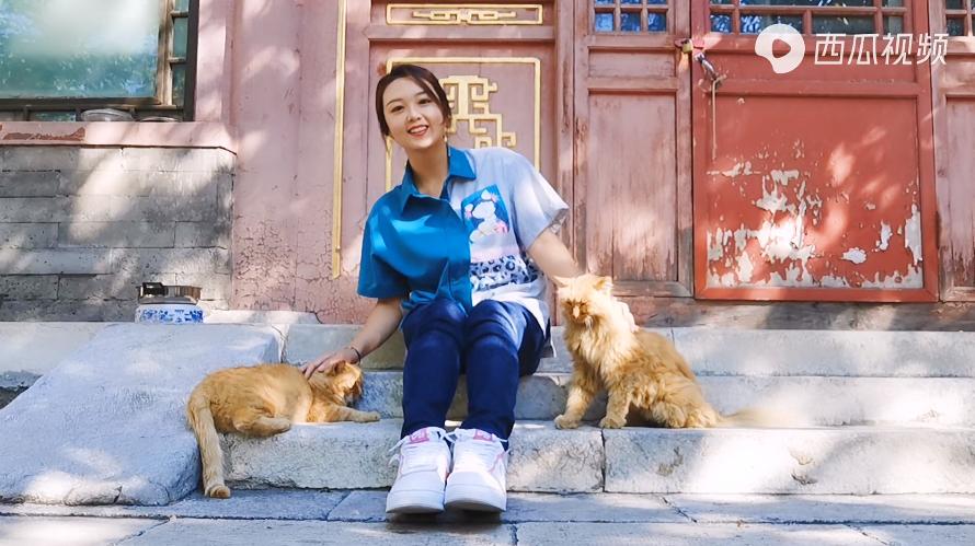 二十多岁进宫，在紫禁城中撸猫8年，她揭开了不为人知的故宫往事