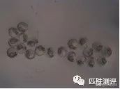 雅诗兰黛小棕瓶眼霜真实测评,雅诗兰黛小棕瓶测评眼霜