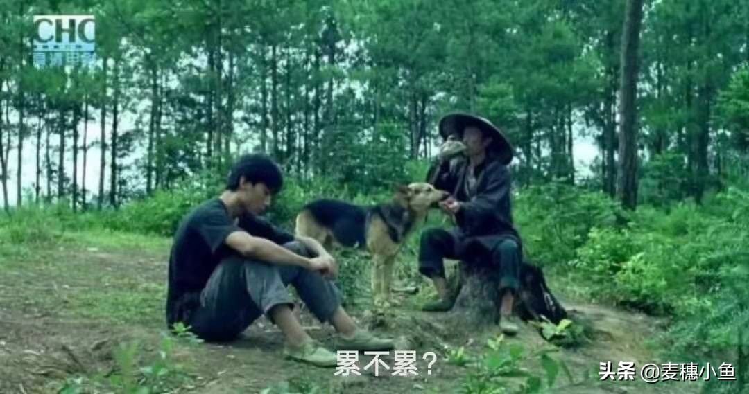 《那人那山那狗》：温润我心灵的是父爱，是乡爱，是人与人的温情