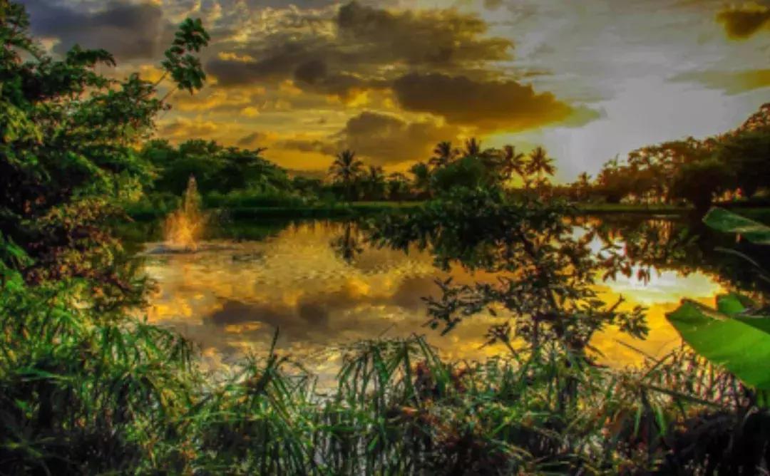 中国护照免签的国家怎么读,对华普通护照免签国家