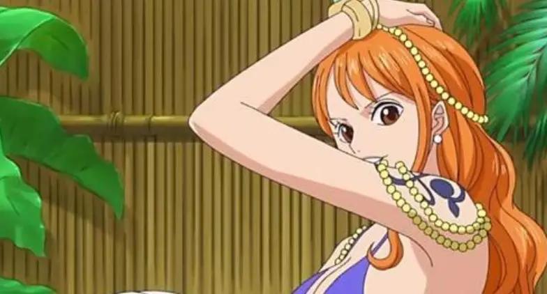 海贼王所有女性人物都有谁,娜美在海贼王里的地位