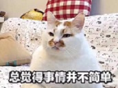 哈高科与湘财股份,湘财股份重组最新消息