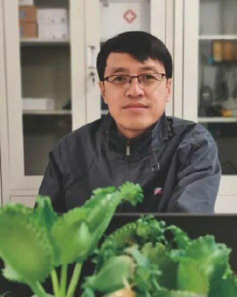 入行越久越觉得自身不足,仪表零基础入门