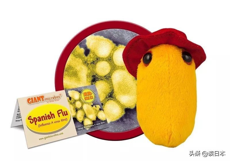 “*体器人官**”挂件或成为日本最新潮流?网友:我的钱包又要哭了