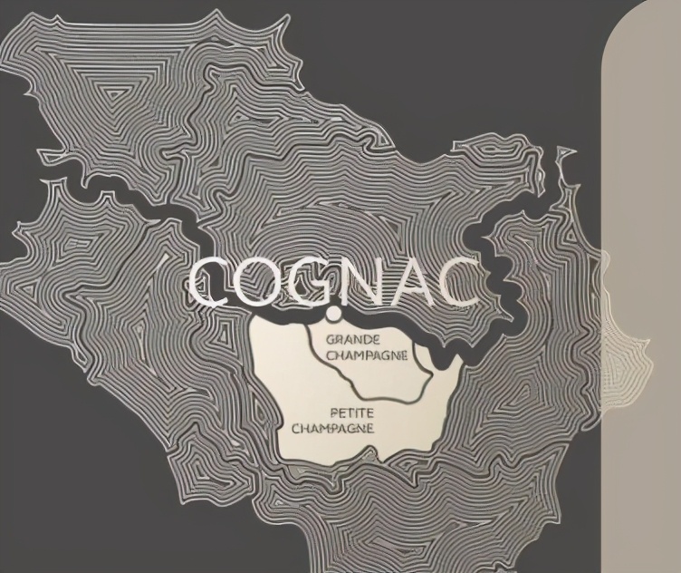 如何品白兰地,白兰地如何喝才好喝