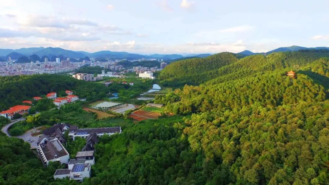 云浮石材400多年的历史,云浮400年前是广西的吗