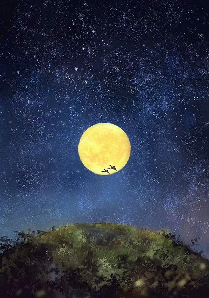 手工情人节机关贺卡,自制情人节贺卡浪漫小机关