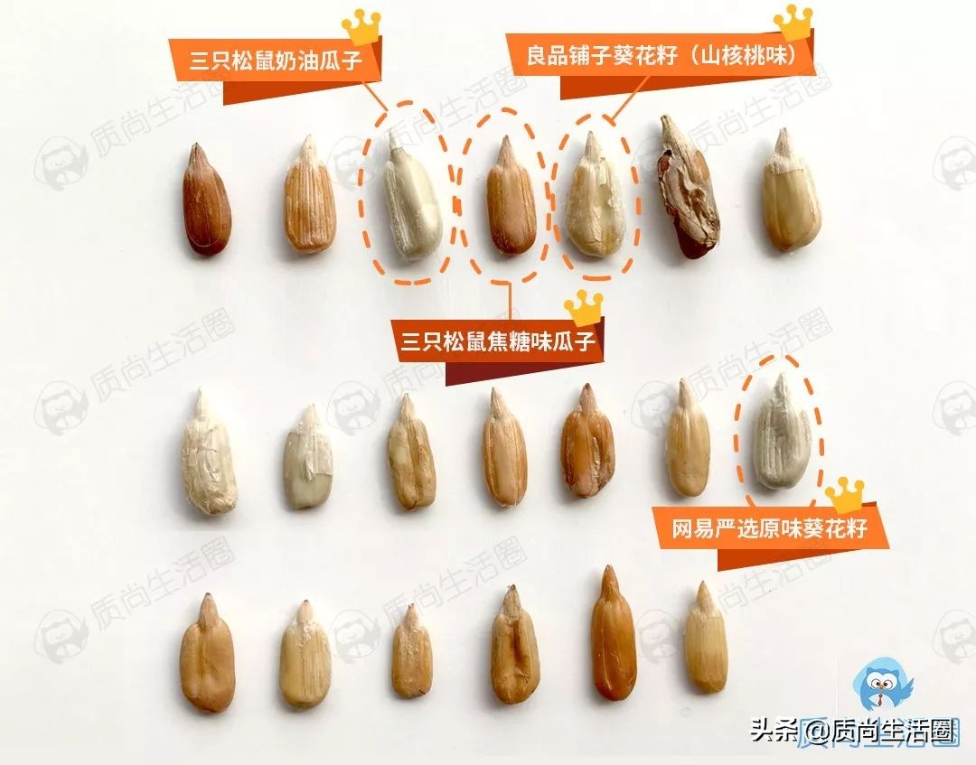 各种瓜子口味测评,20种口味瓜子