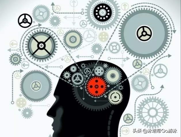 游泳基础自学,游泳自学入门篇