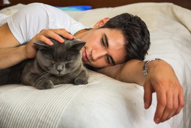 为什么狗狗会对猫很好,狗狗养猫的好处和坏处