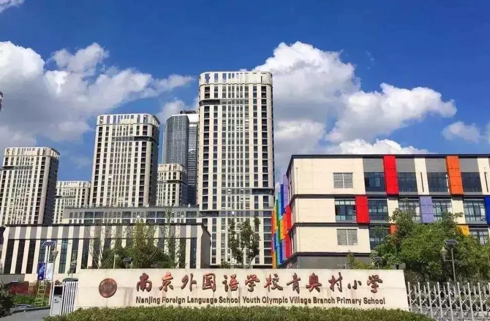 南外河西教育集团,南外河西分校学区范围