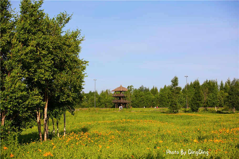 避暑就去这些山水古镇,长白山二道白河镇游玩地图