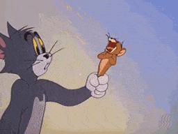 养猫就是抓老鼠吗,还有多少人养猫是为了抓老鼠的