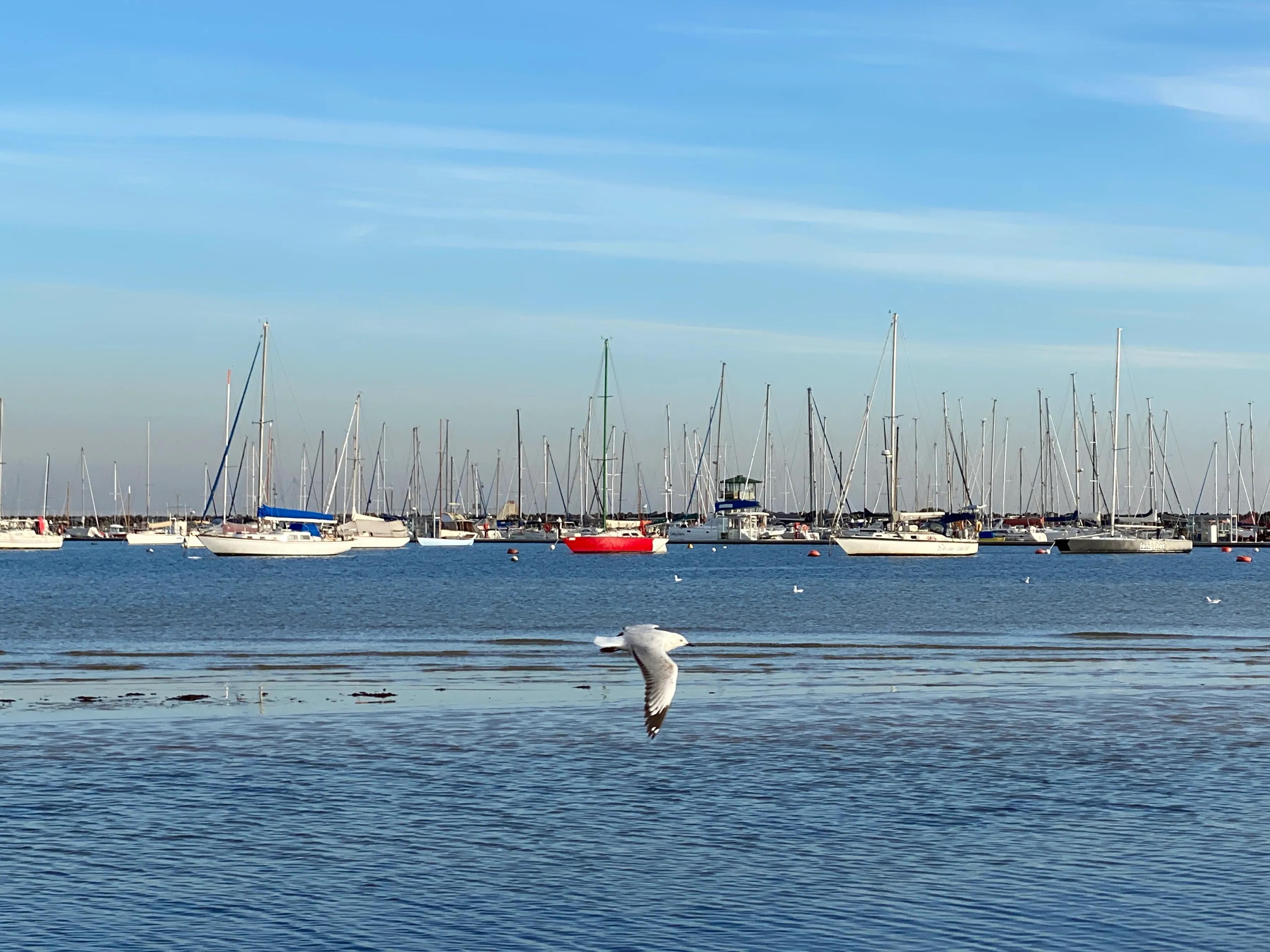 手拍世界手机摄影平台,手机摄影作品集大全集