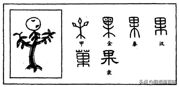 说文解字指事,说文解字会意字举例
