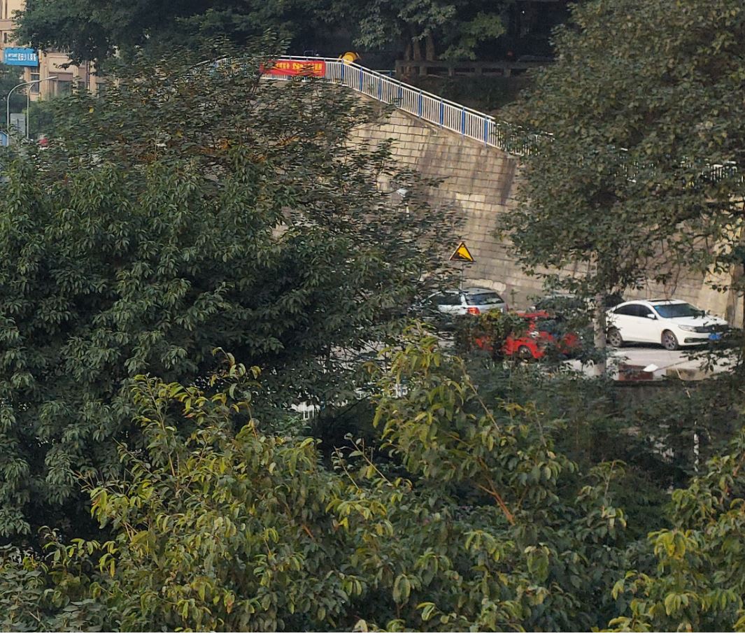 手机拍照也数毛，6400万像素GW1实测