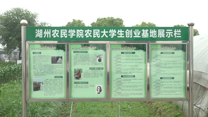 三零模式带动牧民脱贫,三零创建与乡村振兴