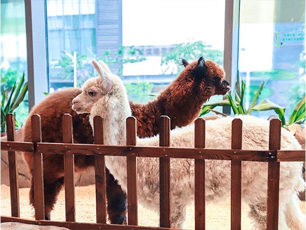 城市微度假商业如何打造,微度假商业综合体