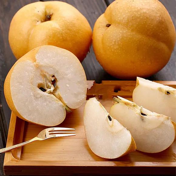 热带水果王国攀枝花,攀枝花一年四季有哪些水果