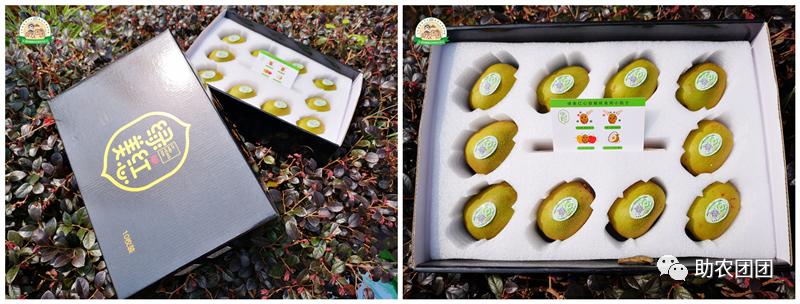 助农产品水果猕猴桃,贵州六盘水红心猕猴桃助农