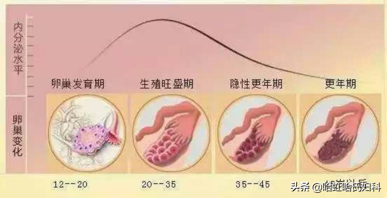 35岁就要绝经了怎么办,35岁月经一天就结束了是什么原因