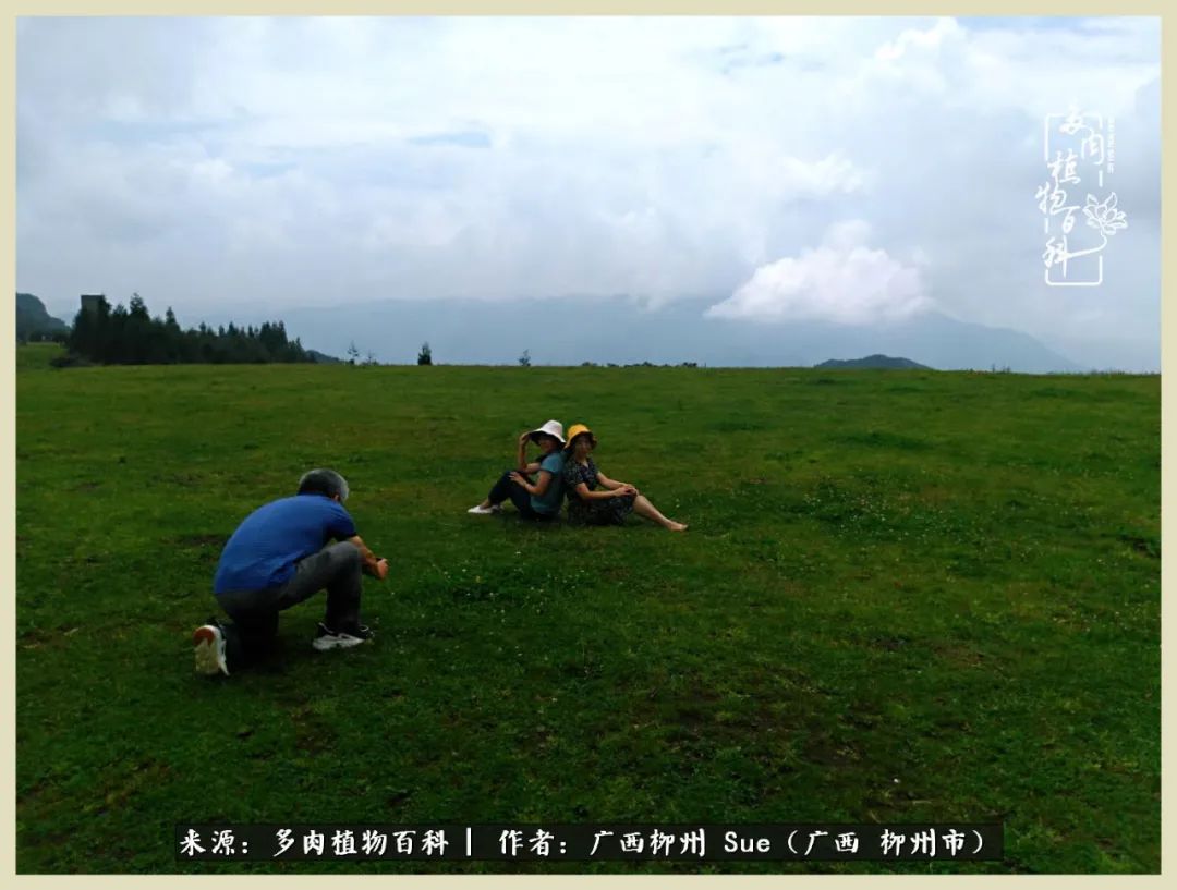艳阳高照凉爽贵州,我要勤快地捕捉美好!(二)