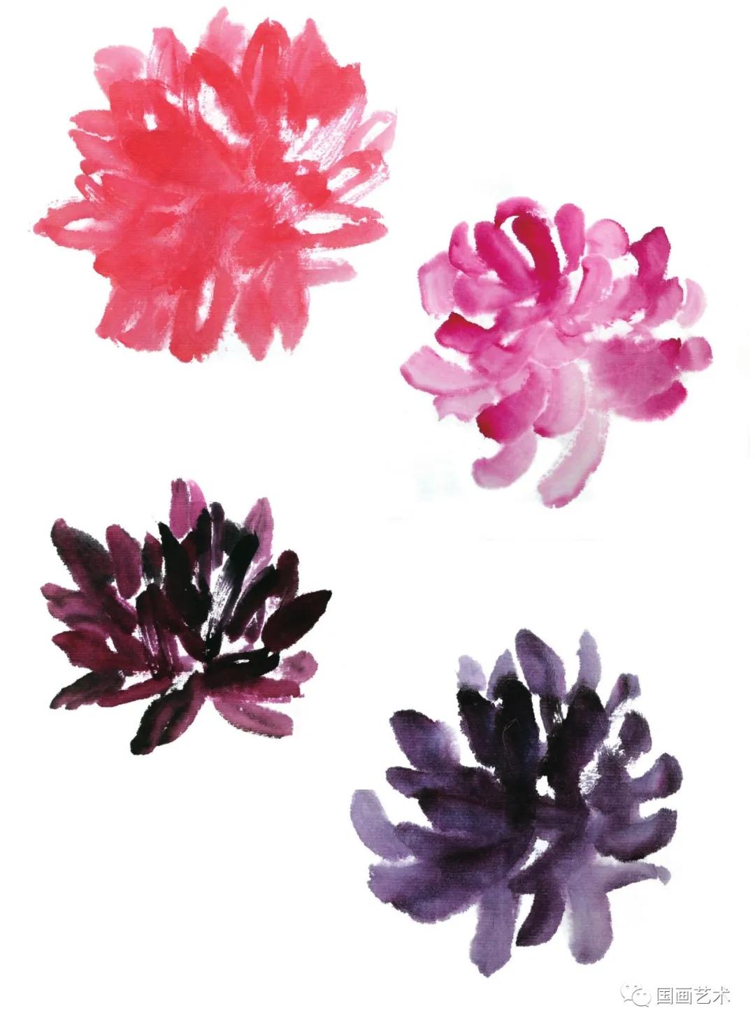 国画写意菊花龙爪菊,写意菊花画法教程简单