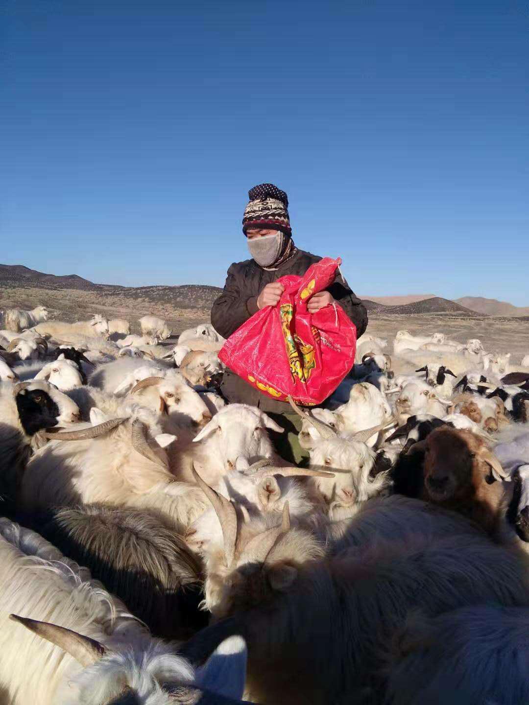 肃北县马鬃山疫情防控电话,肃北防疫情况
