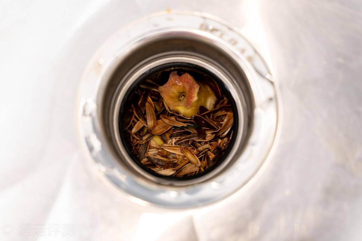 厨余垃圾处理器有用吗,中国家庭适合厨余垃圾处理器吗