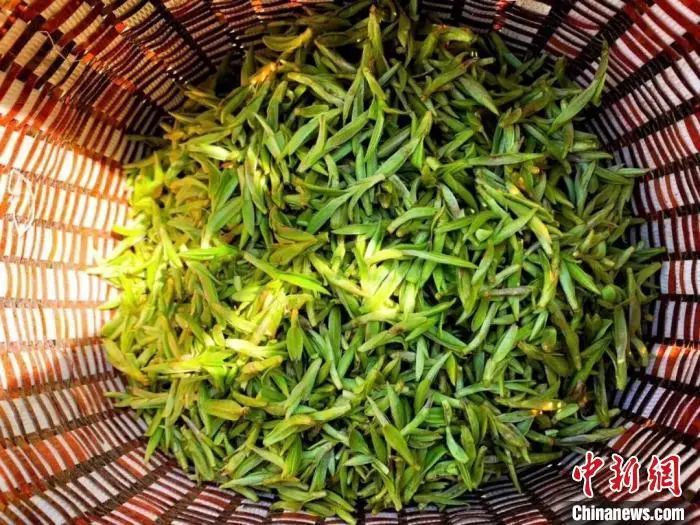 浙江人第一印象,浙江人的特色