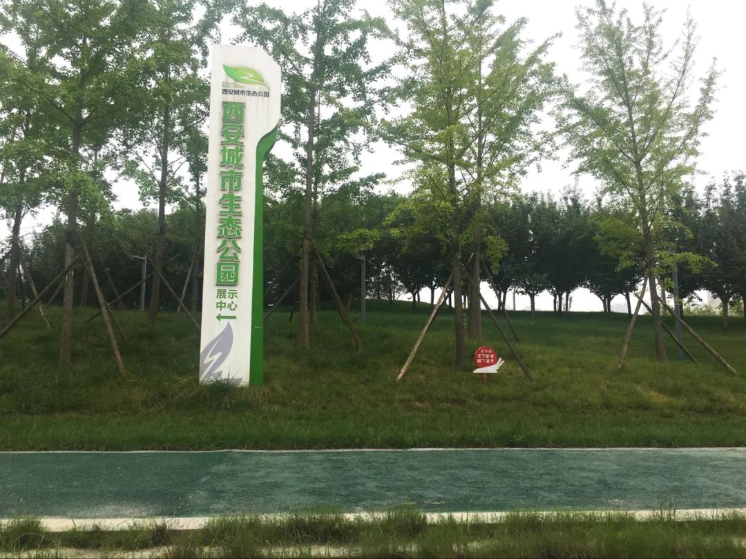 宜家落户东南新城,宜家落户新山