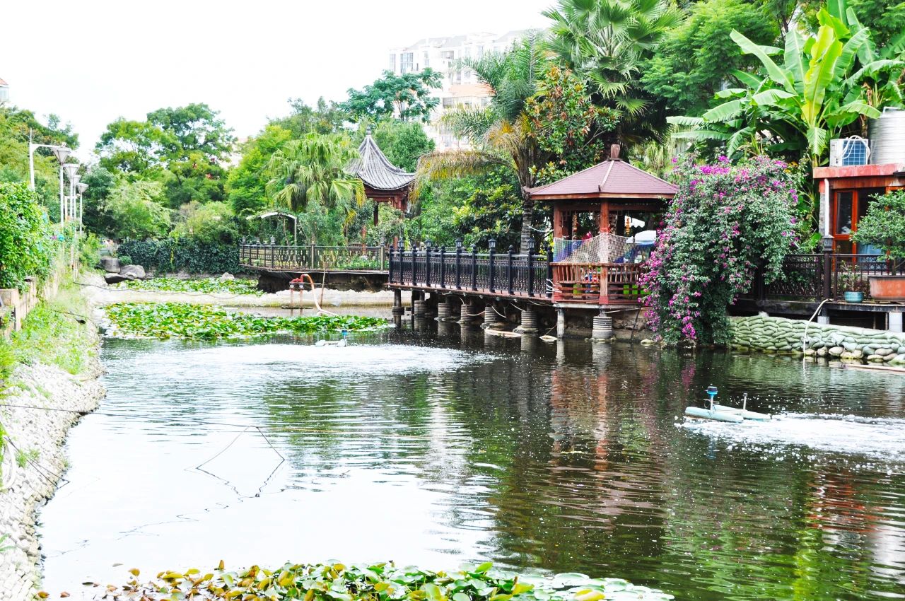 新亚洲体育城都有什么运动,健康体育活动建议