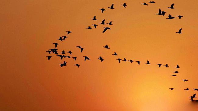 宝鸡市凤翔区是不是地级市,从宝鸡凤翔到秦始皇陵怎么坐车