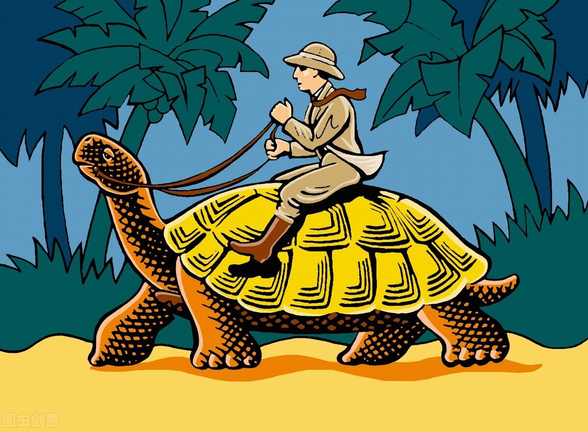 养龟六大忌新手养龟知识100条,养龟知识100条解决养龟常见问题