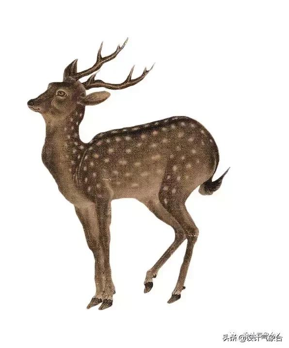 你嫉妒那个用古风出图的同事？我也嫉妒