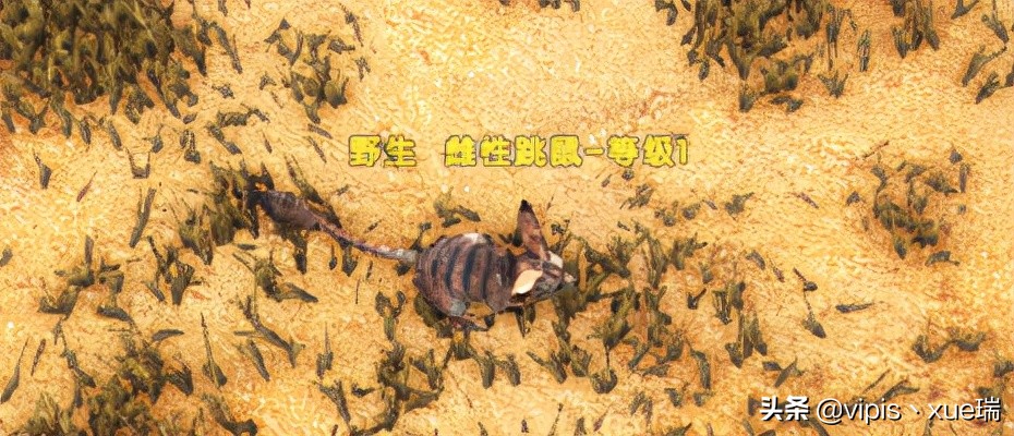 鏂硅垷鐢熷瓨杩涘寲璺抽紶鍦扮墷,鏂硅垷鐢熷瓨杩涘寲鎵嬫父椹湇璺抽紶