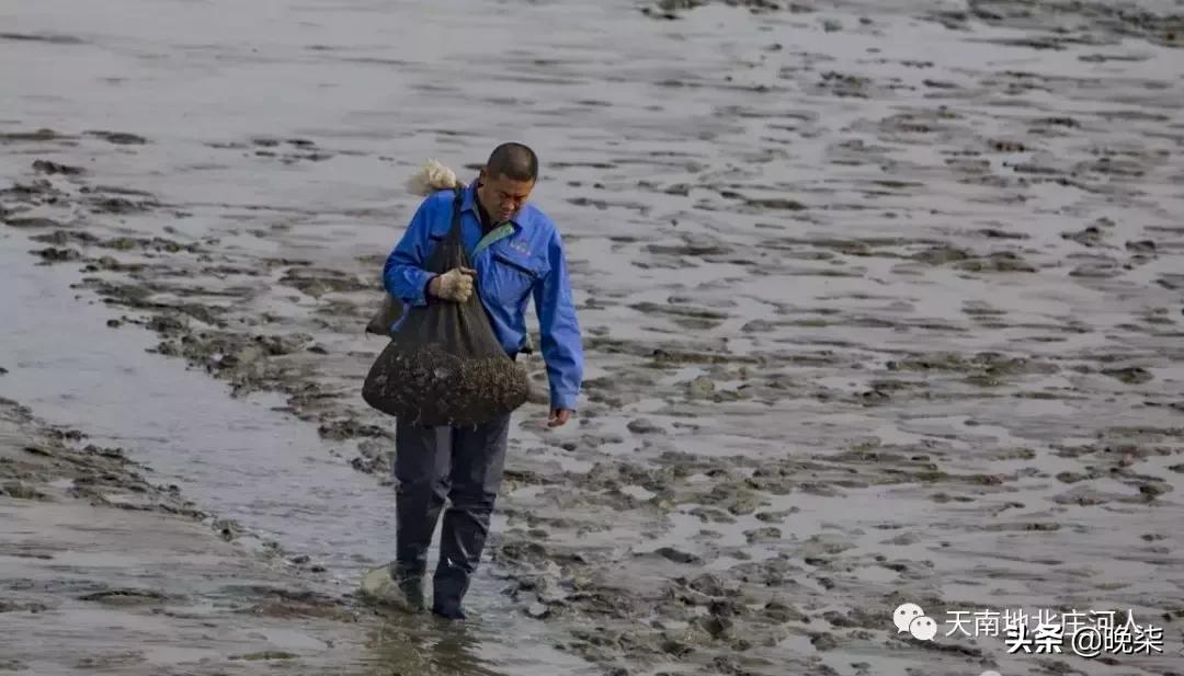 大连庄河赶海排名第一名,庄河赶海网红视频