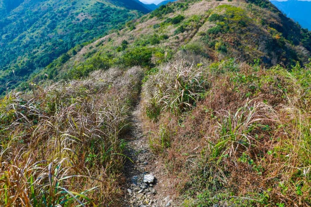 北仑凤凰山森林步道从哪里开始,北仑十大免费景区八大坑森林步道
