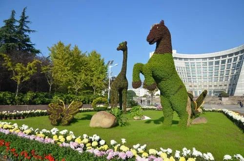 上海大学真正实力如何,上海大学被低估的专业排名