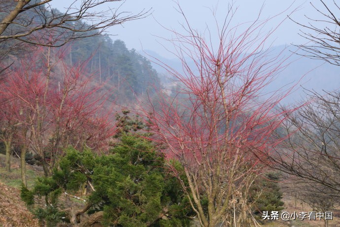 四明山地质公园视频,余姚四明山地质公园景区