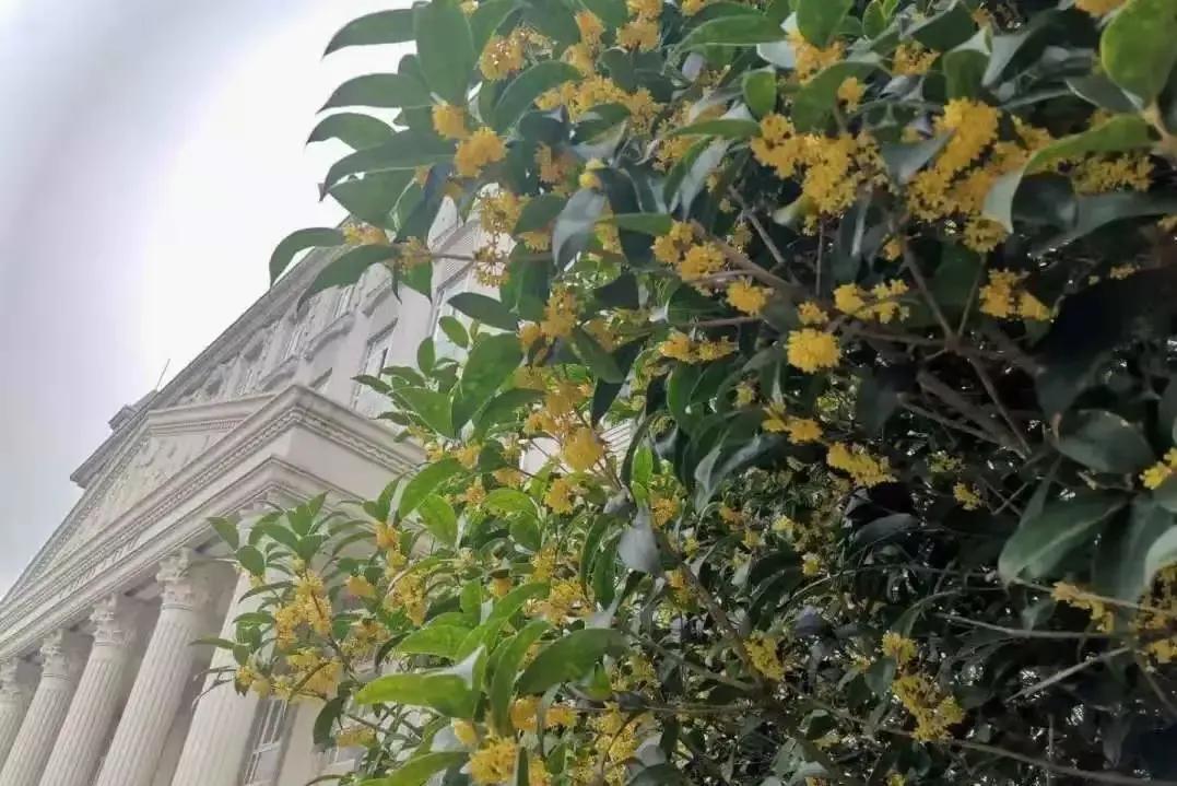 安徽外国语学院排名,安徽省高校总数